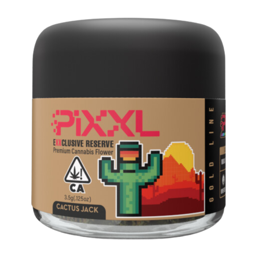 https://www.pixxl.la/_app/immutable/assets/cactus.a733e2ea.png